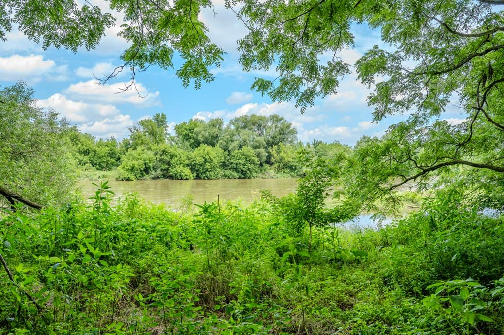 Scenic Grand River view in Kitchener-Waterloo