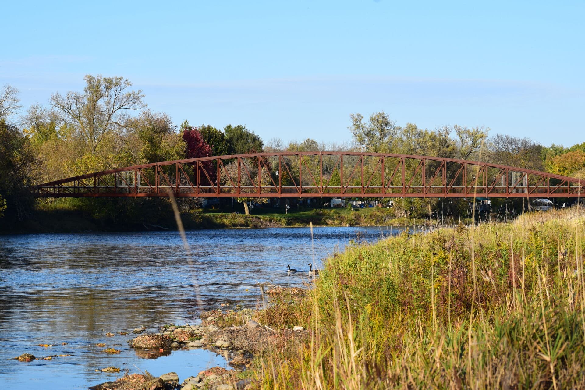 Beautiful fall scenery in Kitchener-Waterloo